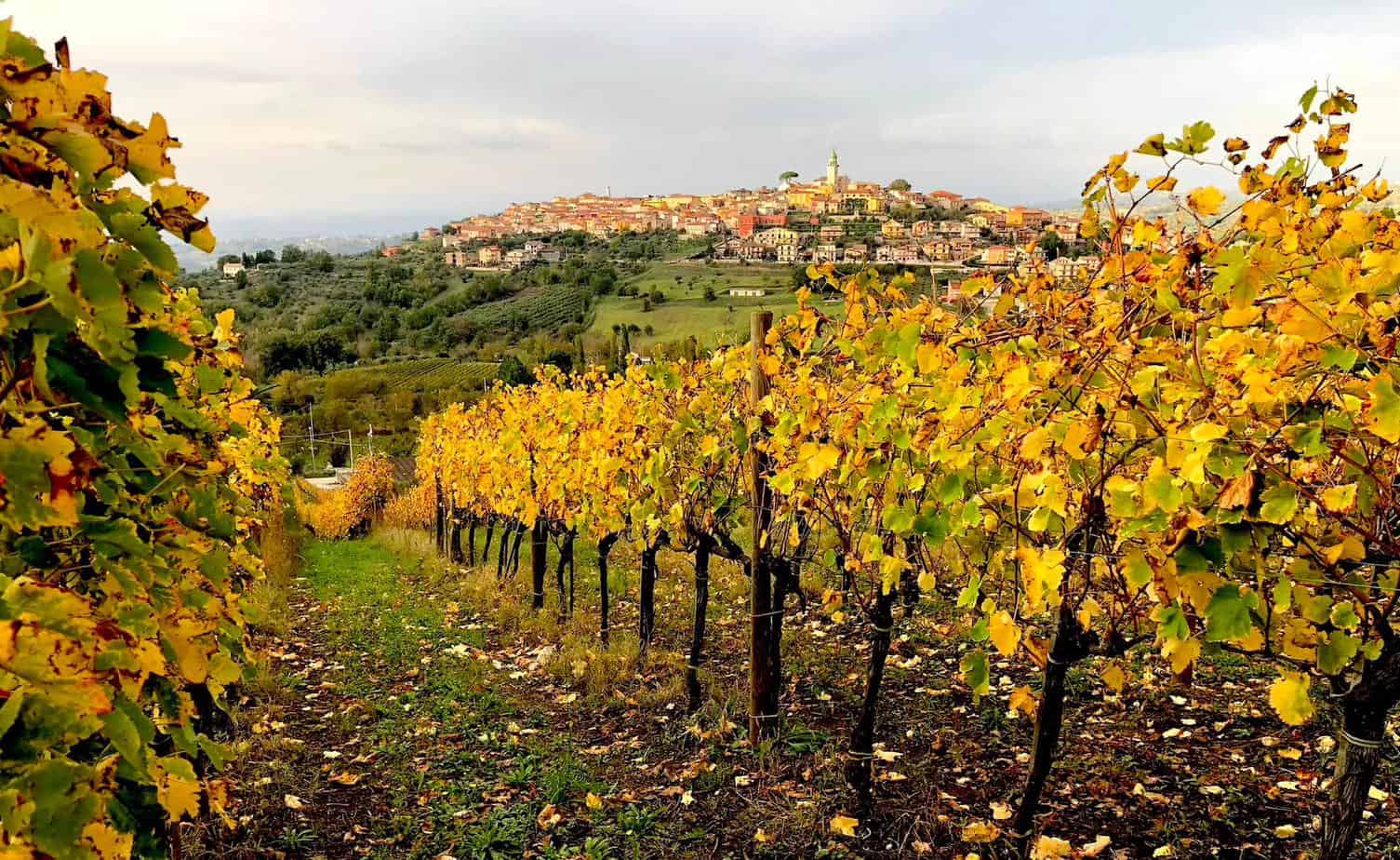 Panorama del Paese di Sant'Angelo all'Esca tra le vigne