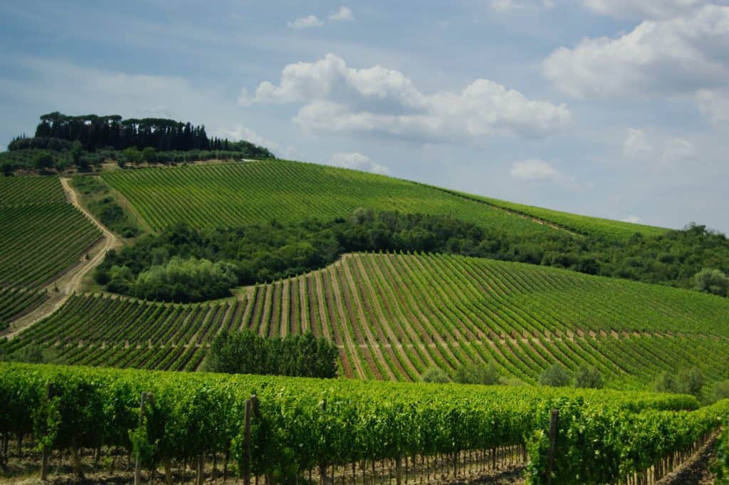 Tuscany Wineyards Photo by Jonathan Skule on Unsplash