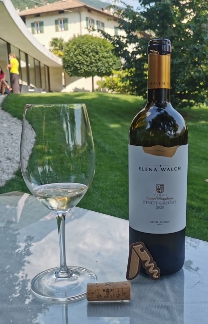 Alto Adige Pinot Grigio "Vigna Castel Ringberg", 2020 - Elena Walch