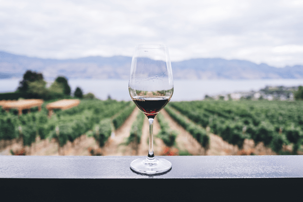 Il rapporto tra uve e ambiente è importante nel valutare le potenzialità evolutive di un vino