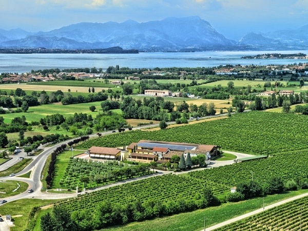Vista dall'alto sui vigneti e sull'azienda Ca' Maiol con il Lago di Garda sullo sfondo