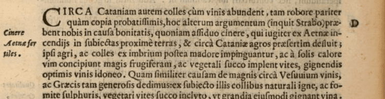 Righe sui vini di Catania, estrapolate dal libro V del De Naturali Vinorum Historia 