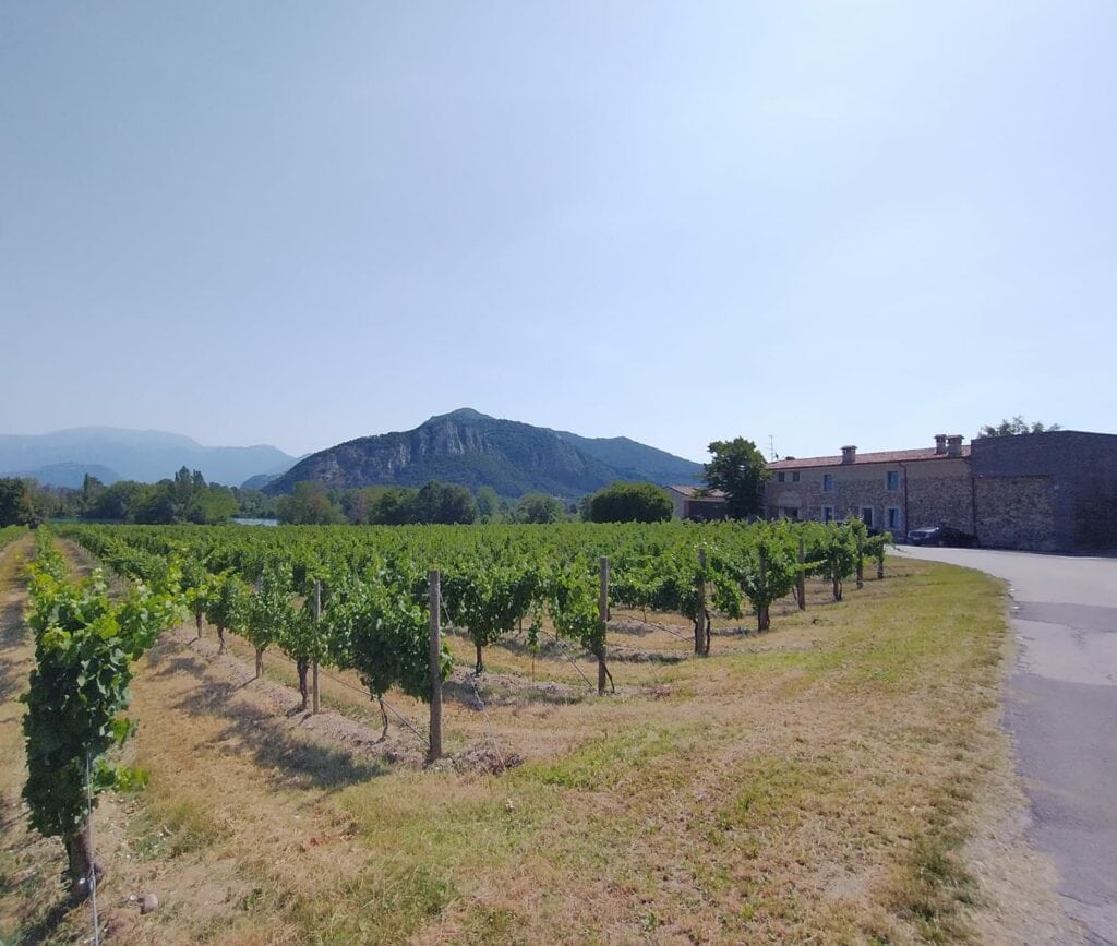 Da Trento alla Franciacorta: un tour tra vino e cultura