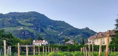 Alto Adige: migliori cantine da visitare