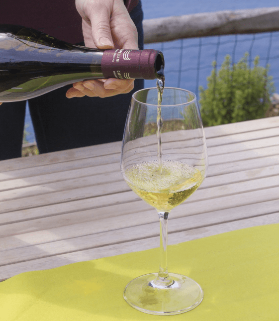 Calice di vino bianco per degustazione 