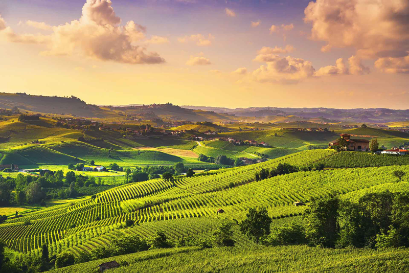 Migliori vini del Piemonte di Untold 2026. Immagine delle Colline piemontesi