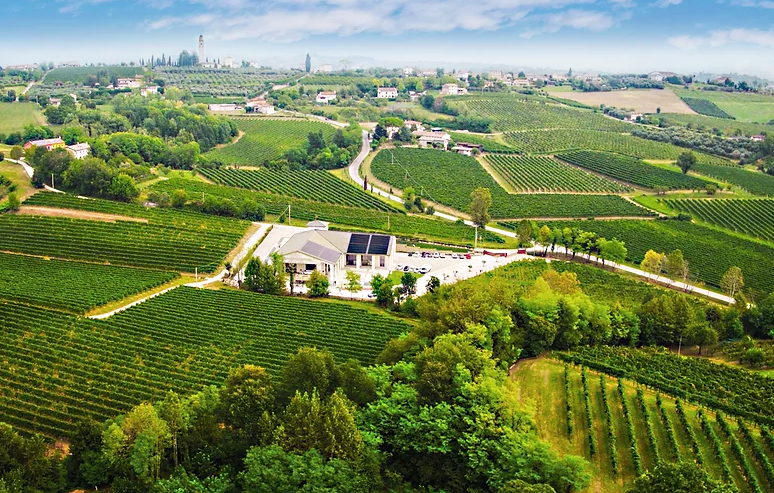 Migliori Cantine Veneto