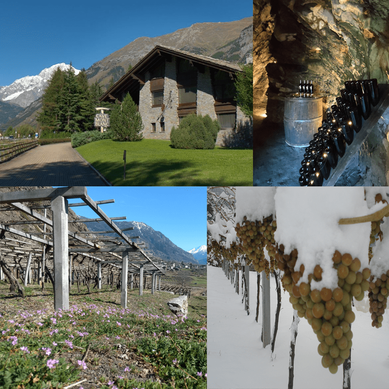 Cave Mont Blanc: tra le migliori cantine della Valle d'Aosta