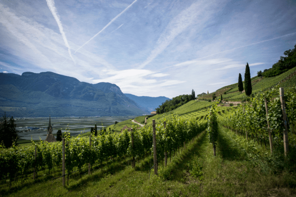 tour cantine trentino