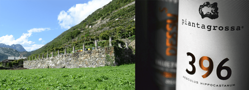 Azienda Agricola Pianta Grossa: tra le migliori cantine della Valle d'Aosta