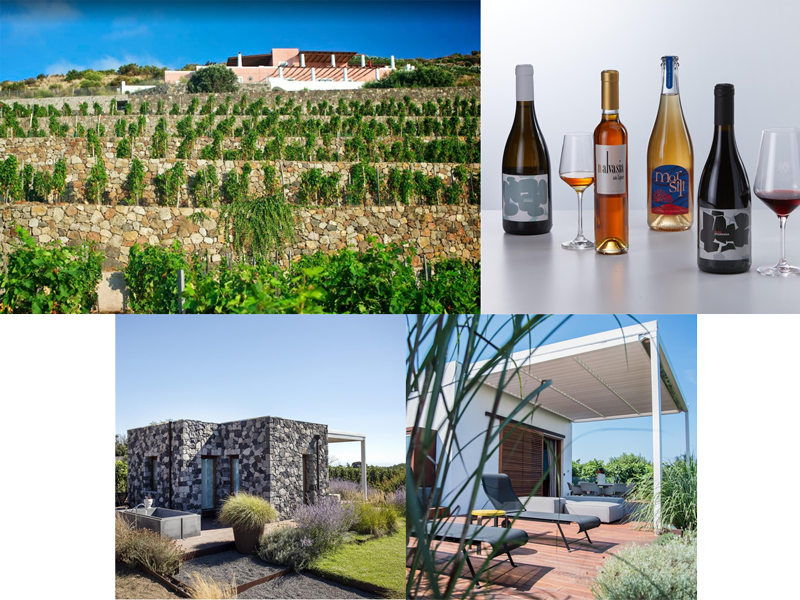 Tenuta di Castellaro: cantina & wine resort sull'isola di Salina