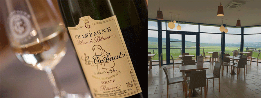 Visita e assaggi alla Maison di Champagne Tribaut