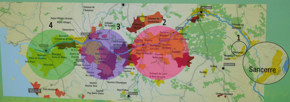 Le migliori cantine della Loira - Itinerario