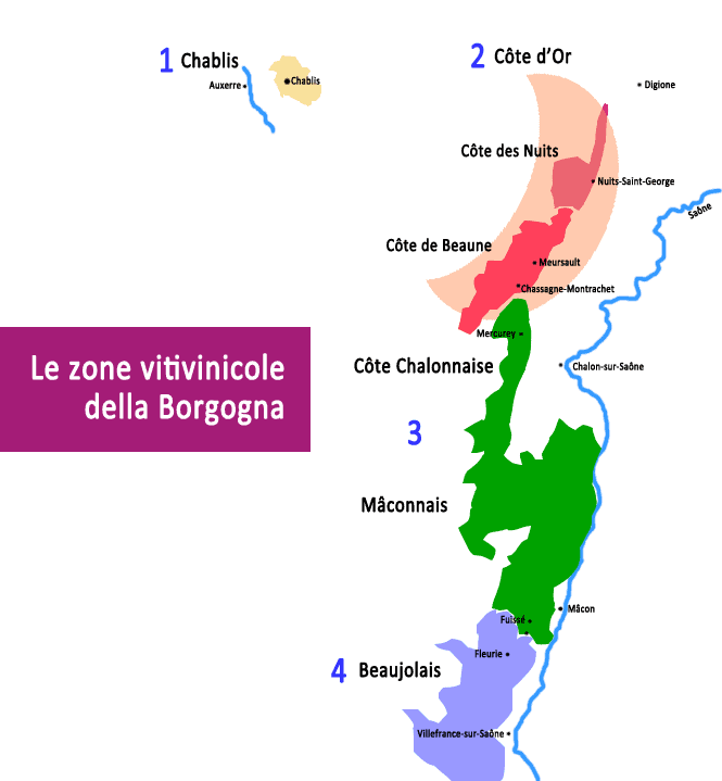 Itinerario tra le migliori cantine di Borgogna