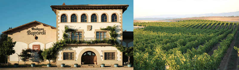 Bodegas Bagordi migliori cantine Rioja Baja