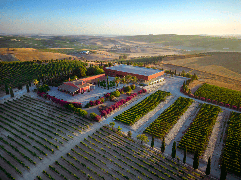 Bodegas Luis Peréz migliori cantine Andalusia