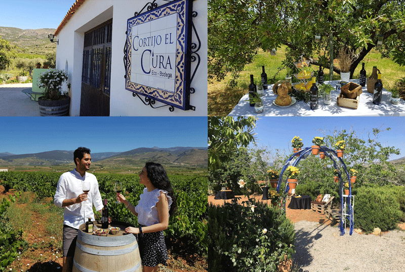 L'azienda vinicola biologica Cortijo el Cura tra le migliori cantine in Andalusia