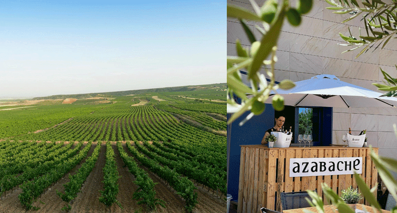 Fincas De Azabache migliori cantine Rioja Baja