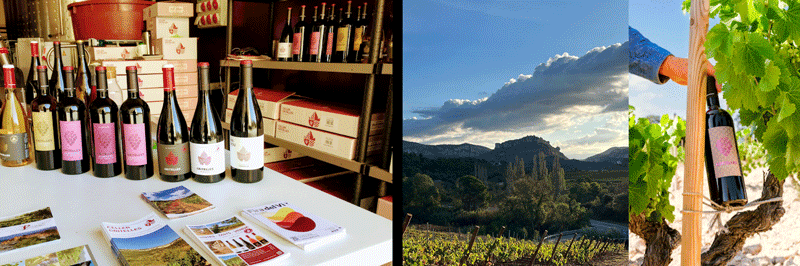 Gritelles Winery vini del Priorat e Monsant