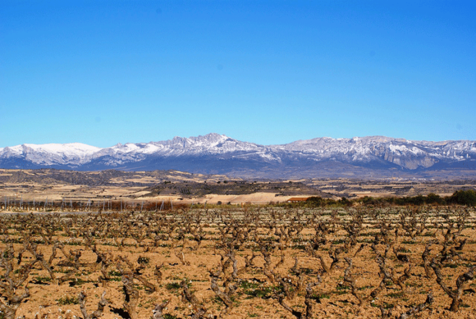 Migliori cantine da visitare in Rioja