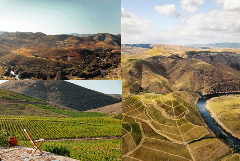 Quinta de Ervamoira migliori cantine del Douro