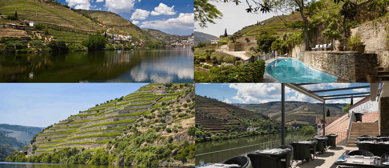 Quinta de La Rosa: Cantina, Suite e Ristorante migliori cantine del Douro