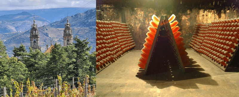 Caves da Raposeira migliori cantine douro