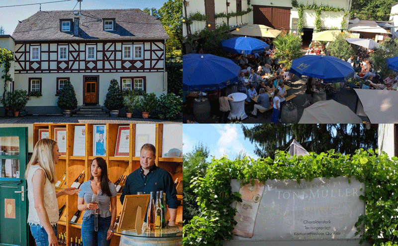 Weingut Toni Müller a Coblenza