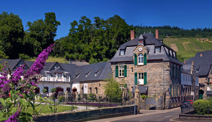 Weingut Schloss Lieser migliori cantine Mosella