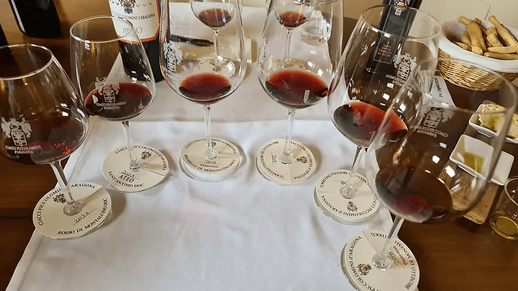 Degustazione dei vini della Cantina Ciacci Piccolomini d'Aragona