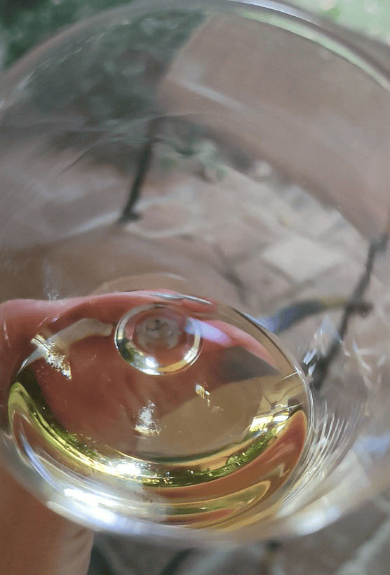 Il colore del Verdicchio di Matelica Grillì 2019 Villa Collepere