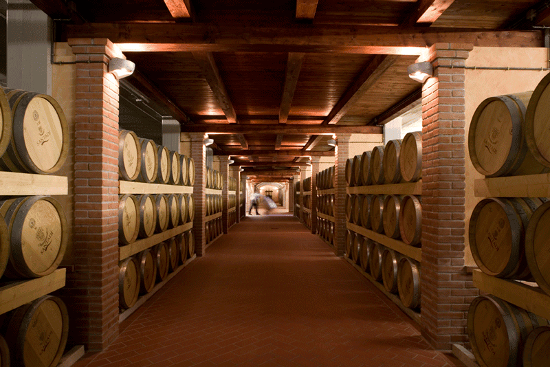 La sala barrique della Cantina Santadi