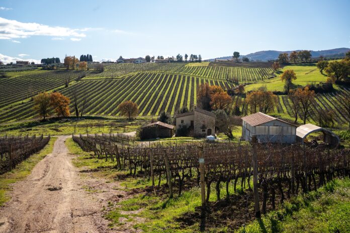 Vista panoramica dalla tenuta Lunelli Castelbuono in Umbria