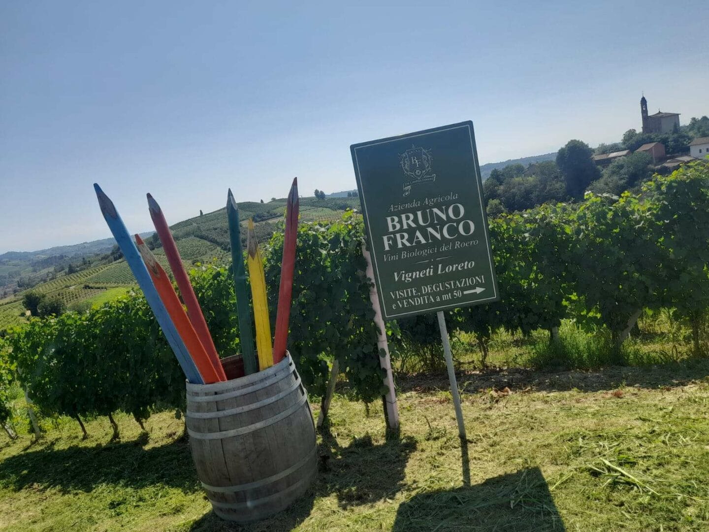 Vigneti dell'azienda Bruno Franco