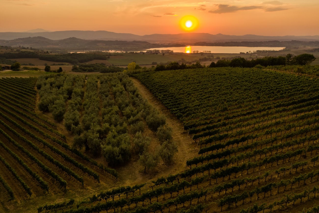 Vista dei Vigneti in un paesaggio Umbro nel sistema delle DOC e DOCG italiane