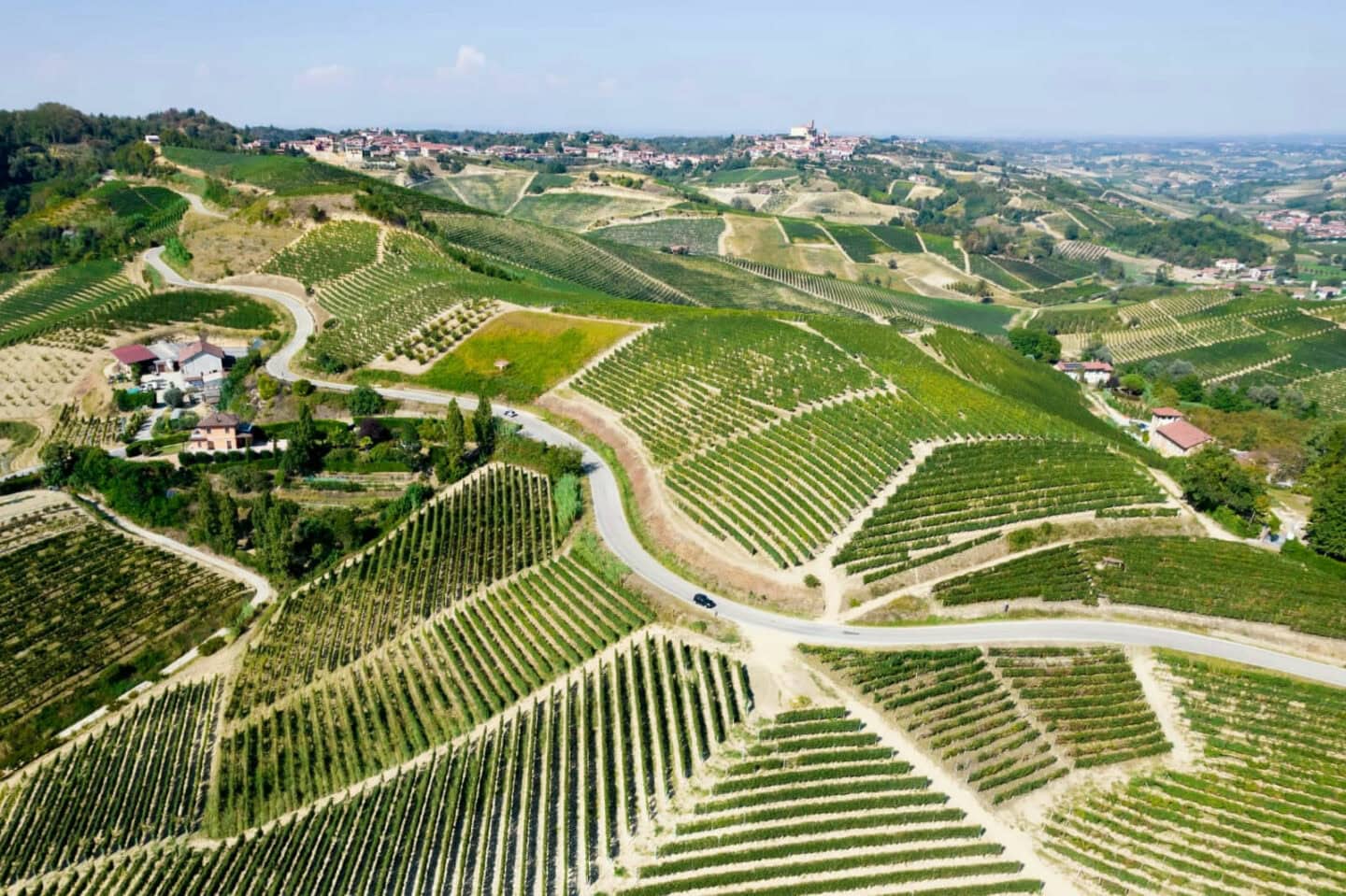 Vigneti dell'azienda Bruno Franco