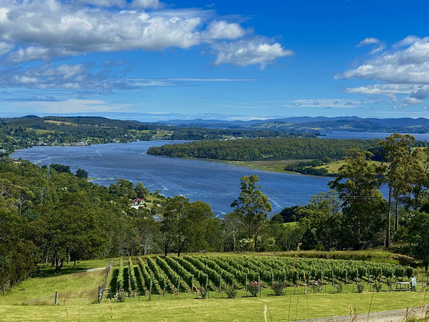 Uno scorcio della Tamar Valley in Tasmania