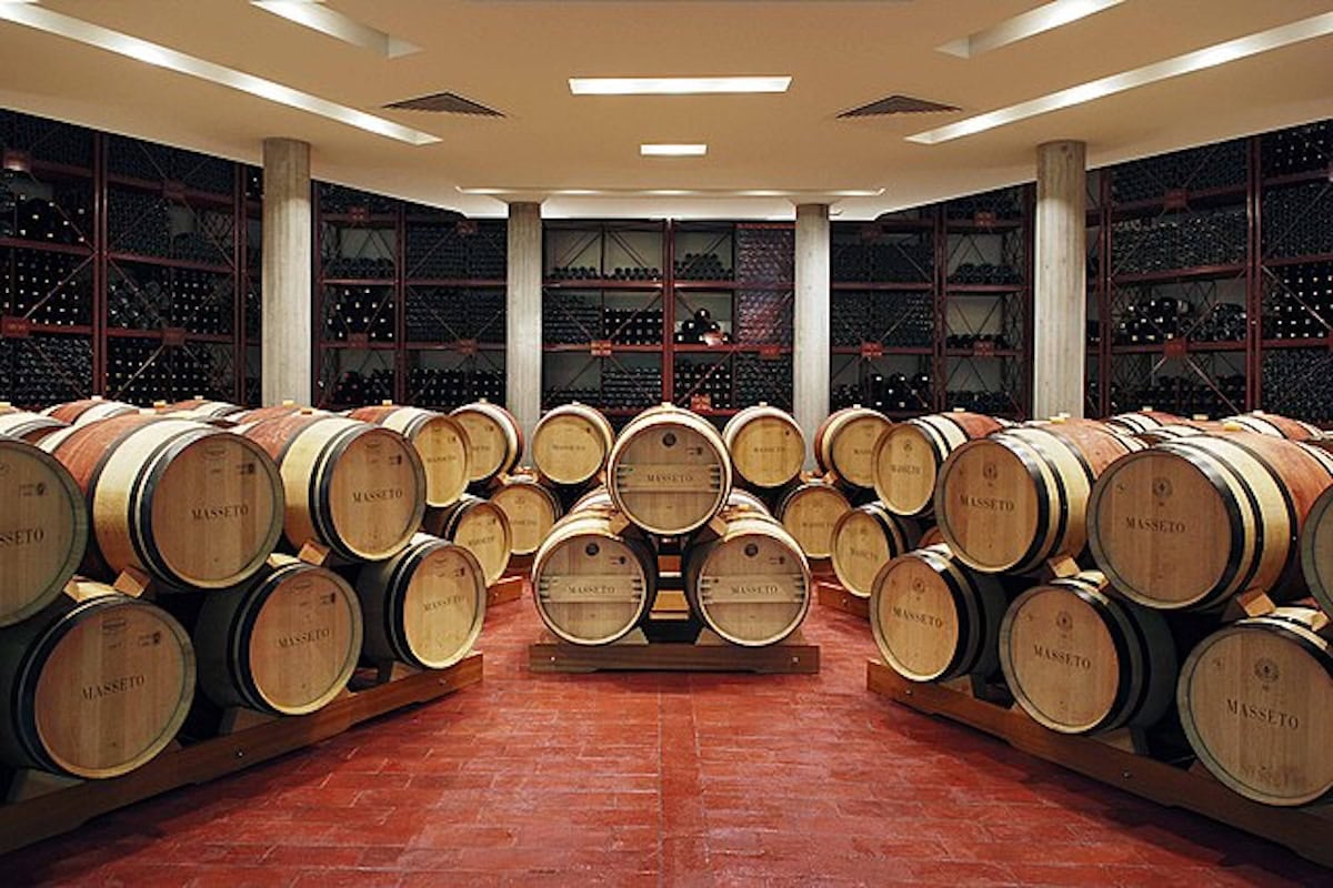 Barriques di vino Masseto