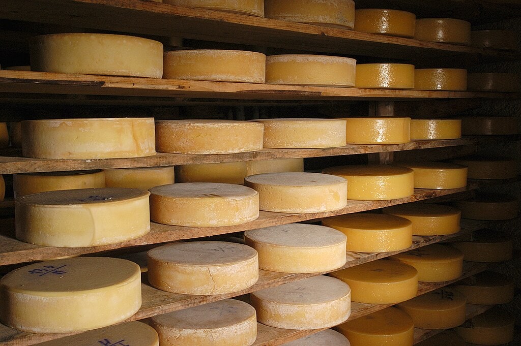 Forme di Formaggio DOP