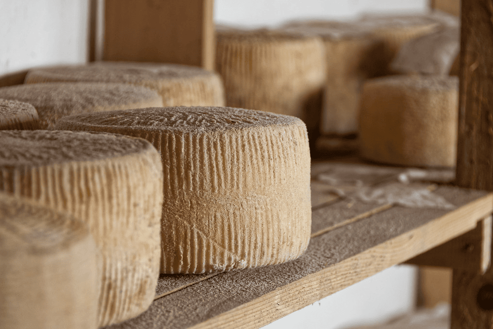 Pecorino di Filano