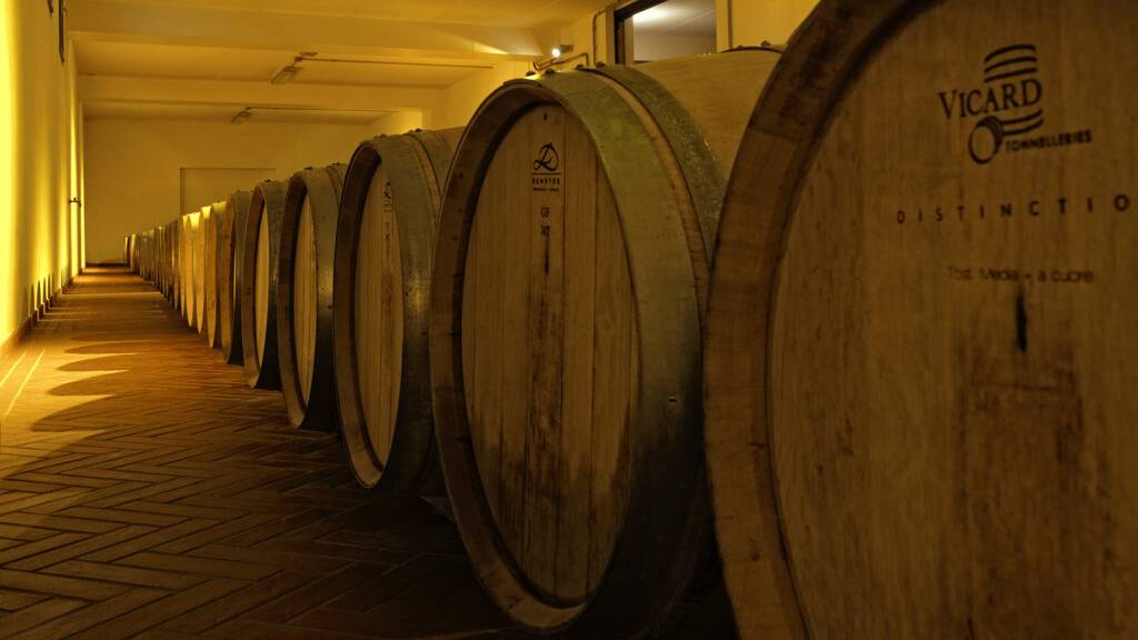 Immagine della cantina Josetta Saffirio raffigurante le botti