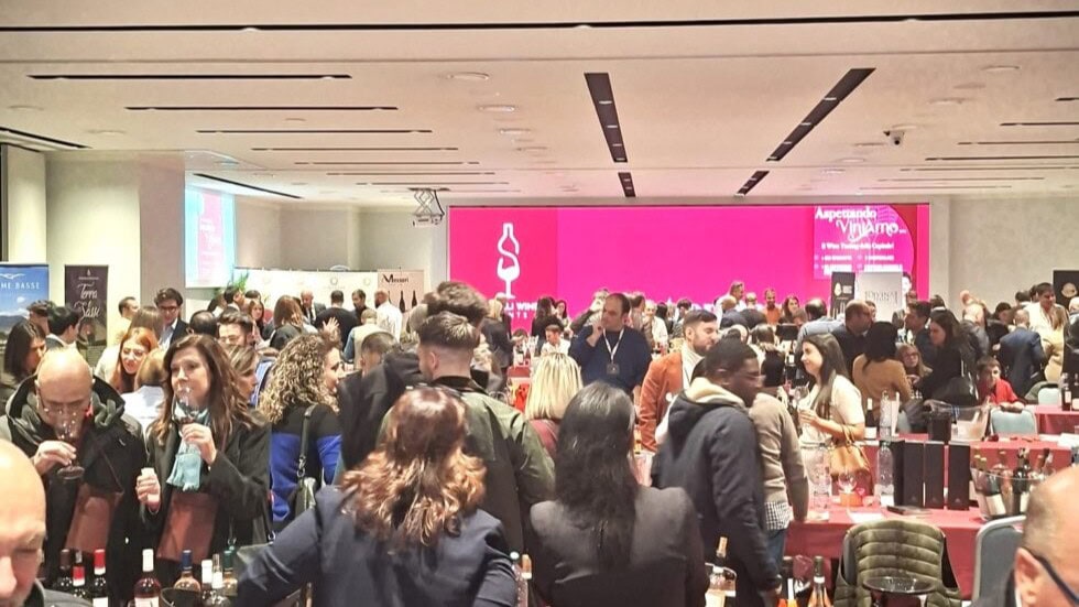 Eventi Vino 2026: un'immagine della manifestazione aspettando ViniAmo.