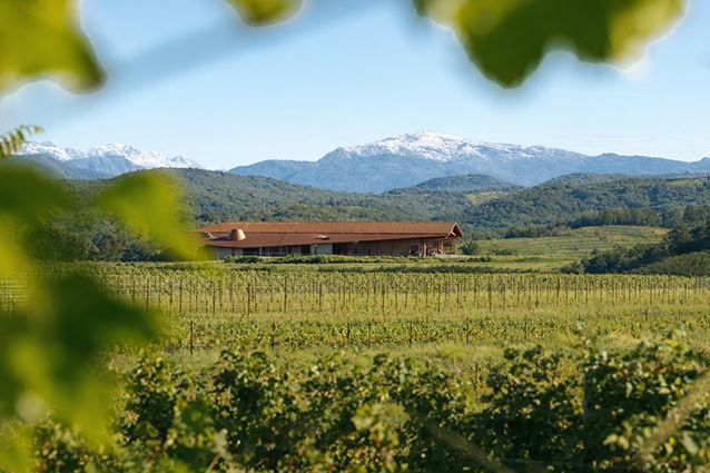 Vista della Cantina Zorzettig