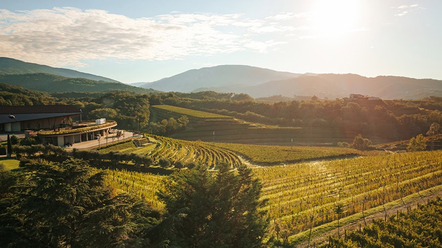 La cantina Zorzettig immersa nel Vigneti e colline in Friuli con luce dorata al tramonto.