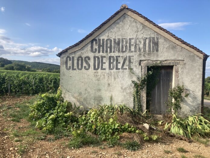IMG_4889 Chambertin