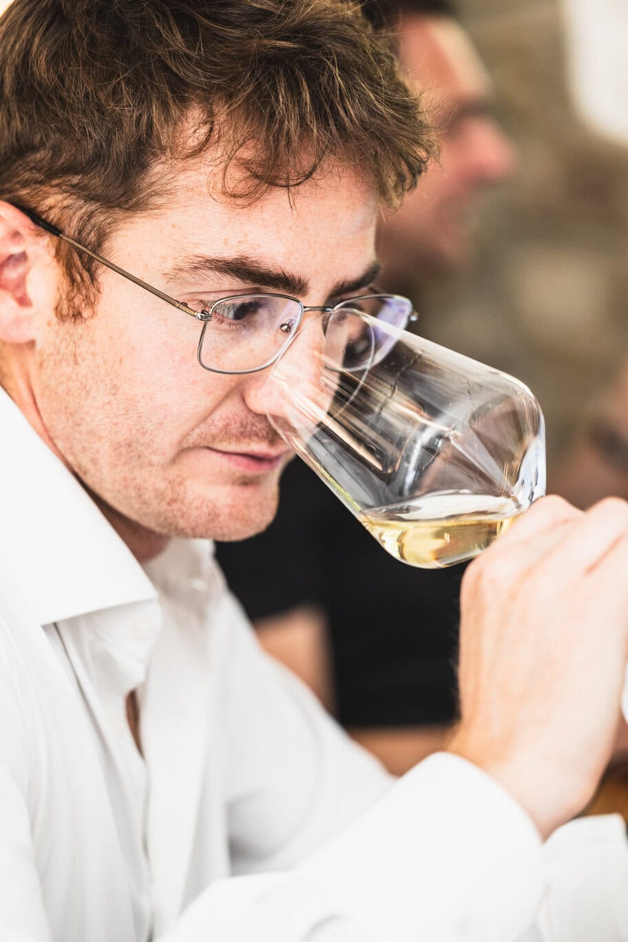 Untold Volume III – Uno dei membri delle commissioni di assaggio alla Tenuta dei Normanni per la guida Decanto 2027
