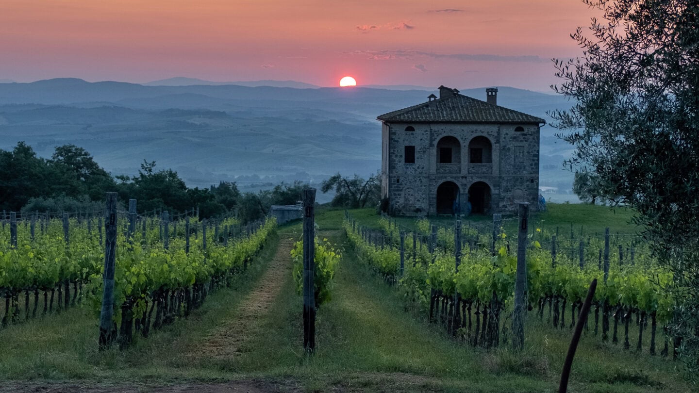 La Voce di Biondi-Santi, quinta edizione del progetto sulla parola Generazioni. Vista al tramonto delle vigne dell'azienda Biondi-Santi