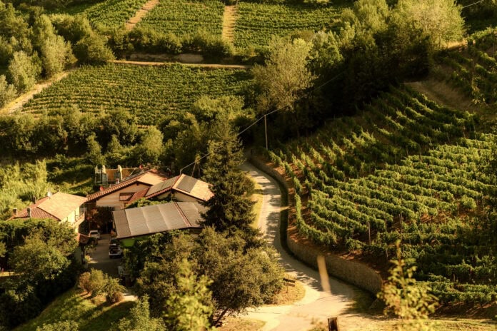 tenuta