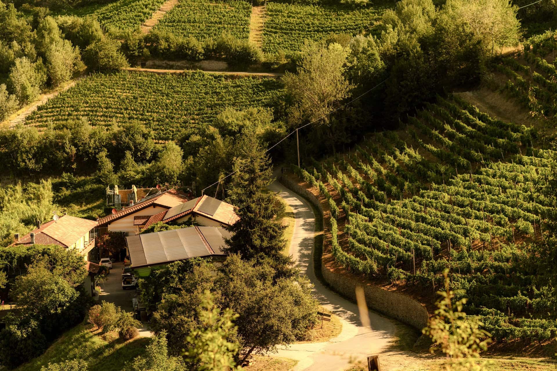 Isolabella della Croce e i vini nati dalla bellezza