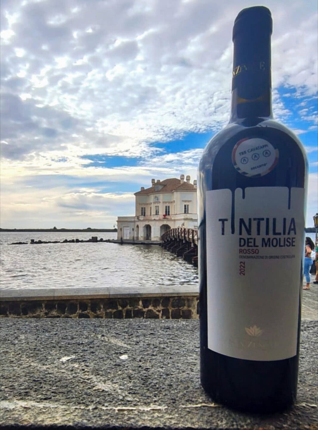 Tintilia Cantina San Zenone - Casina Vanvitelliana